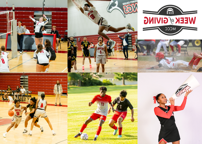 Collage image of Montco sports teams